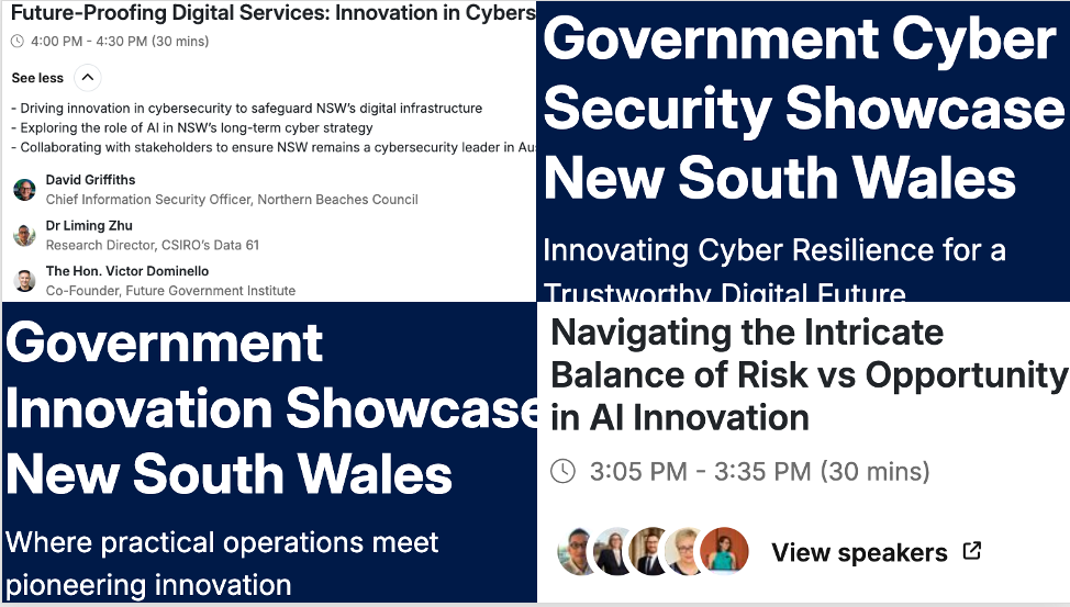Government Innovation NSW Panels