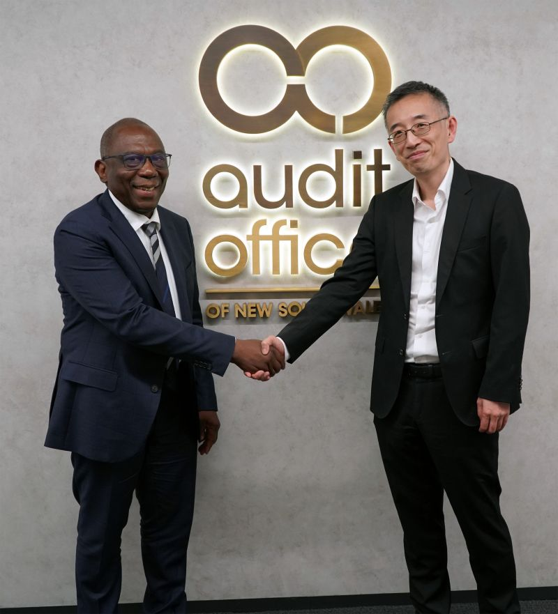 What public auditing can teach us about governing AI